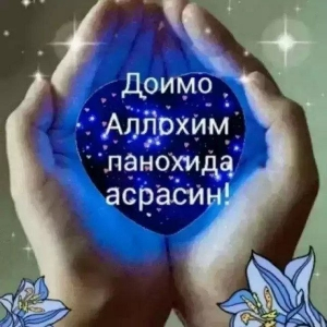 Anvar Razzaqov