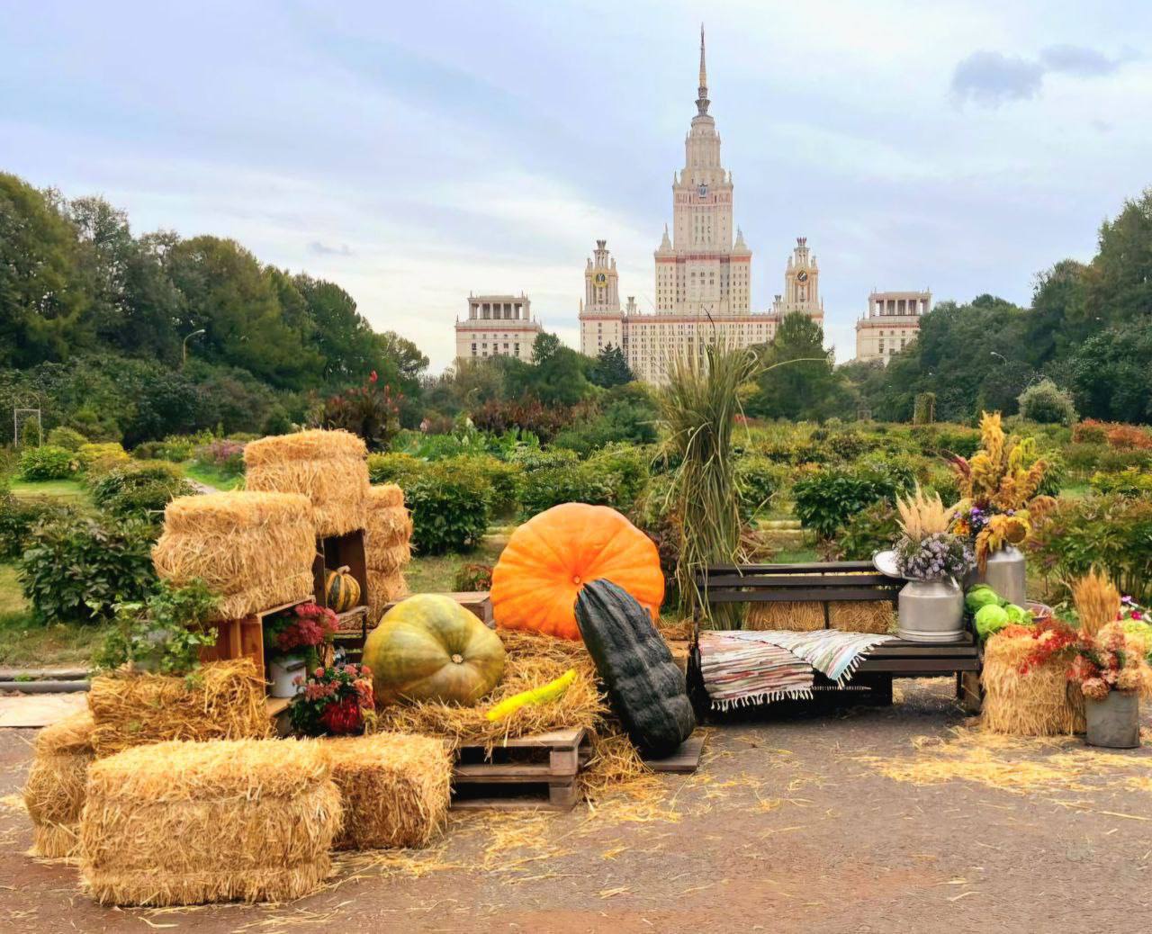 🎃 Осенняя фотозона с тыквами появилась возле МГУ
Сохраняйте локацию для новых осенних фотографий😍📲Подпишитесь на Вдвижении
#бесплатно | Сетка — социальная сеть от hh.ru