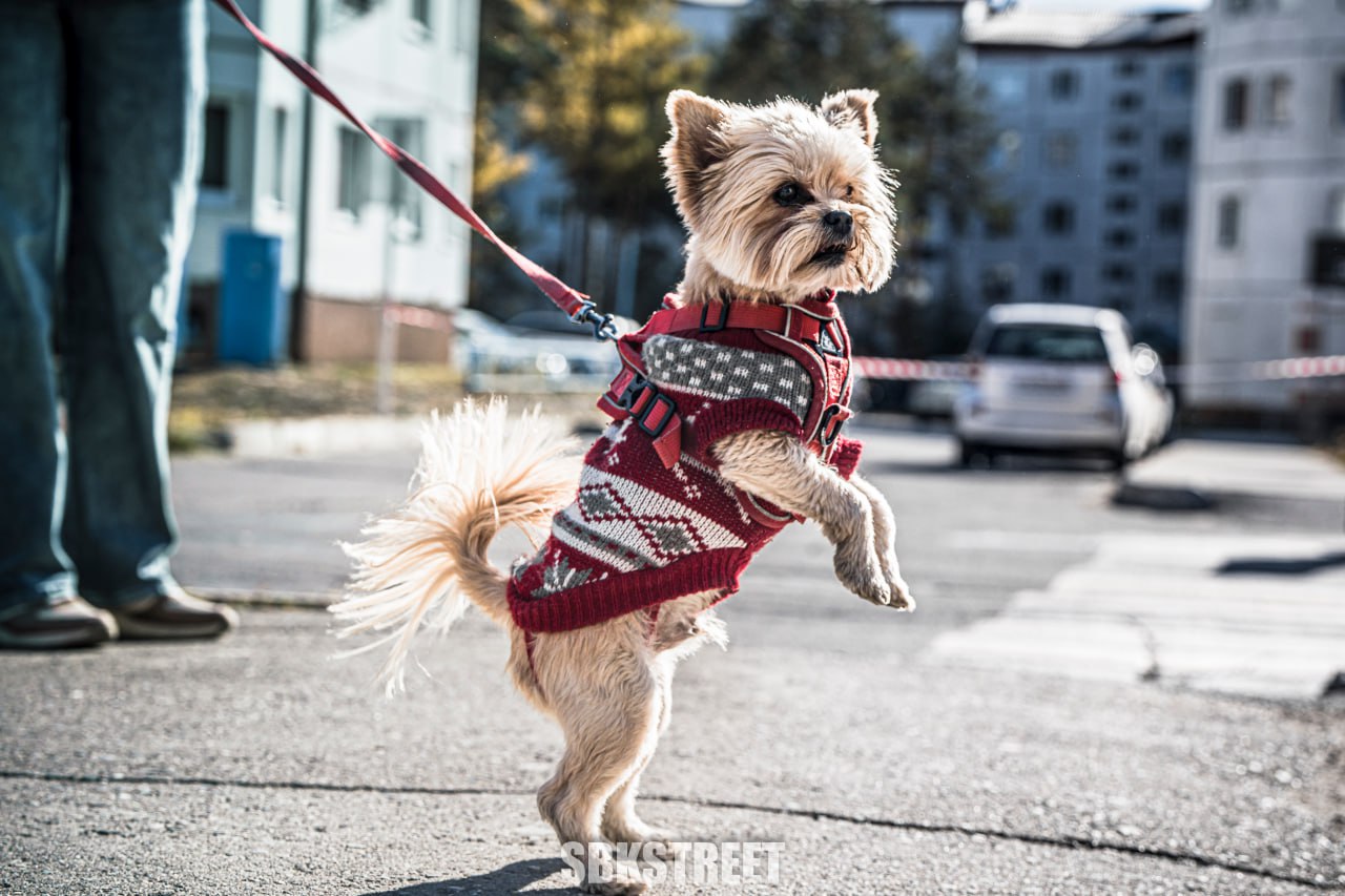 Источник реакций 🙂
❤️ sbkstreet | 🔵дать буст каналу | Сетка — социальная сеть от hh.ru