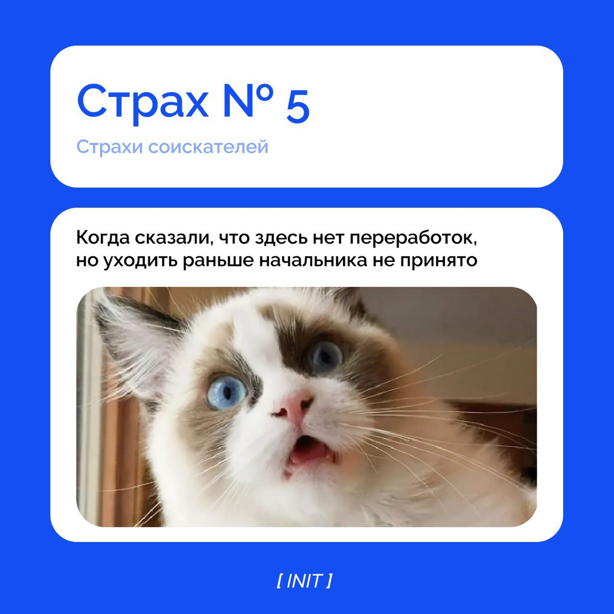 Страхи соискателя.
Сталкивались с с ситуациями, описанными в карточках? | Сетка — социальная сеть от hh.ru