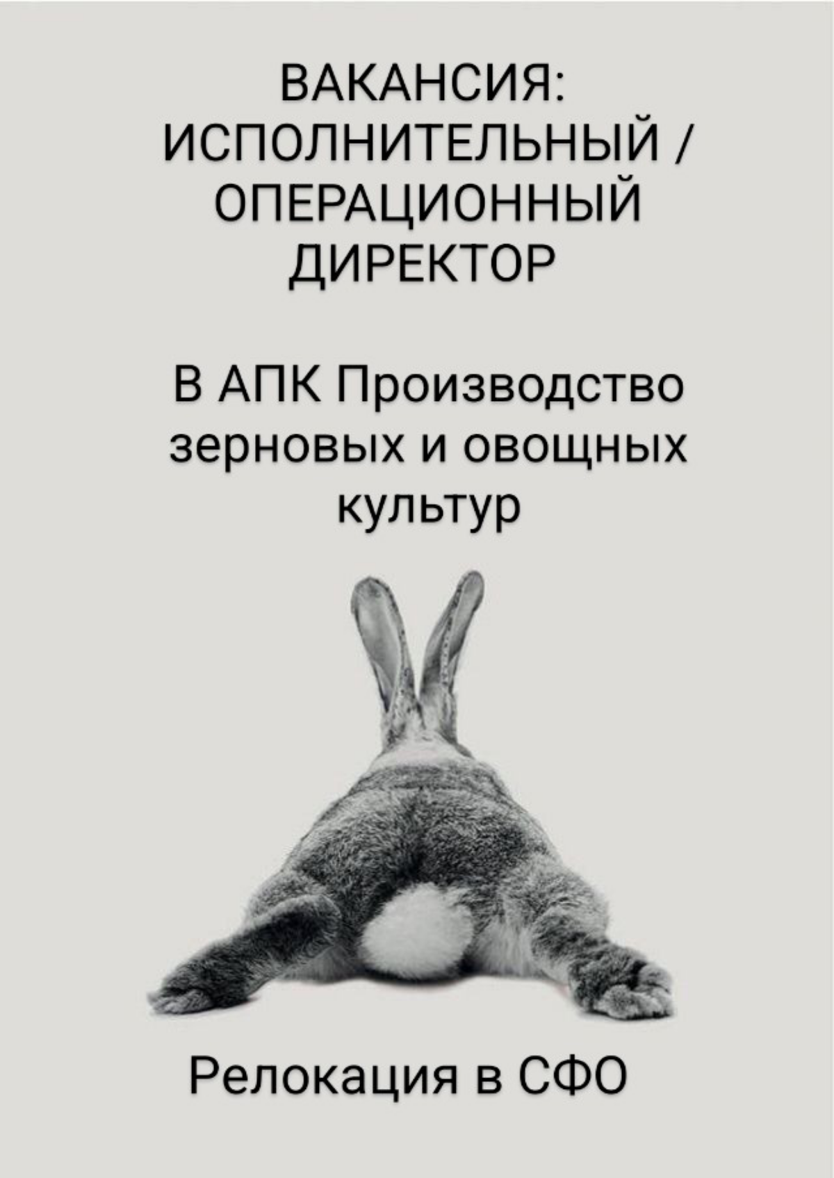 #ВАКАНСИЯ: ИСПОЛНИТЕЛЬНЫЙ / ОПЕРАЦИОННЫЙ ДИРЕКТОРА
КОМПАНИЯ: АПК Производство зерновых и овощных культур
ЗАДАЧИ:
-  Операционное руководство АПК
-  Организация производственного процесса
-  Осуществле... | Сетка — социальная сеть от hh.ru