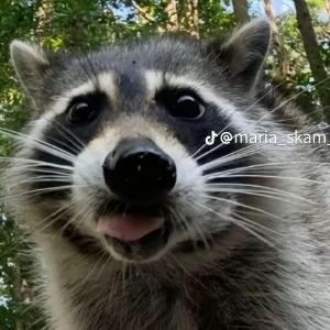 Анна Маликова