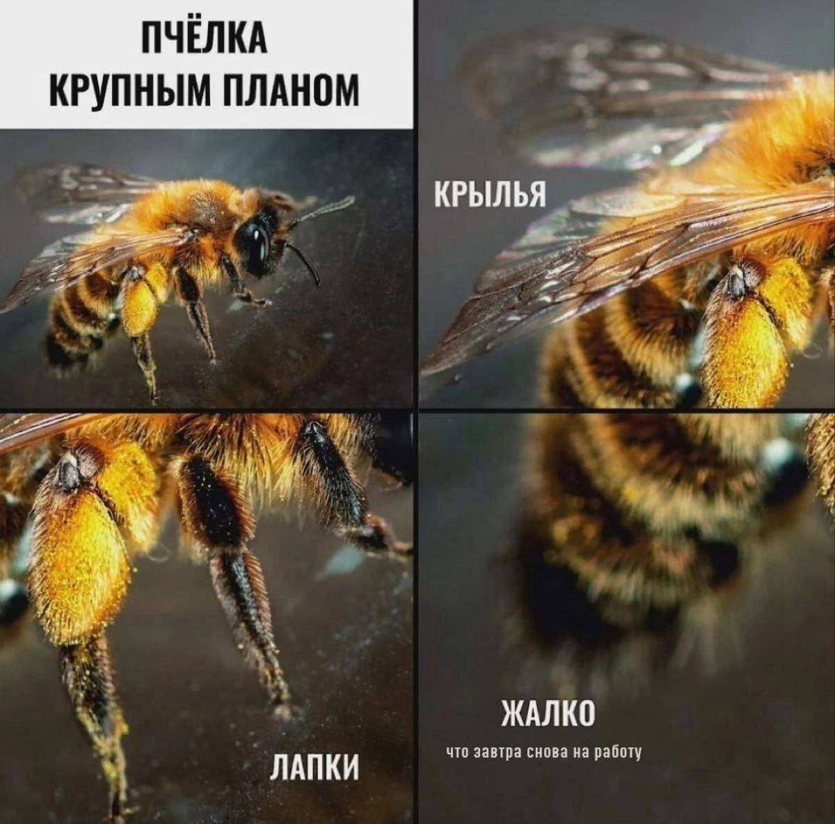 Всем хорошего понедельника)) | Сетка — социальная сеть от hh.ru