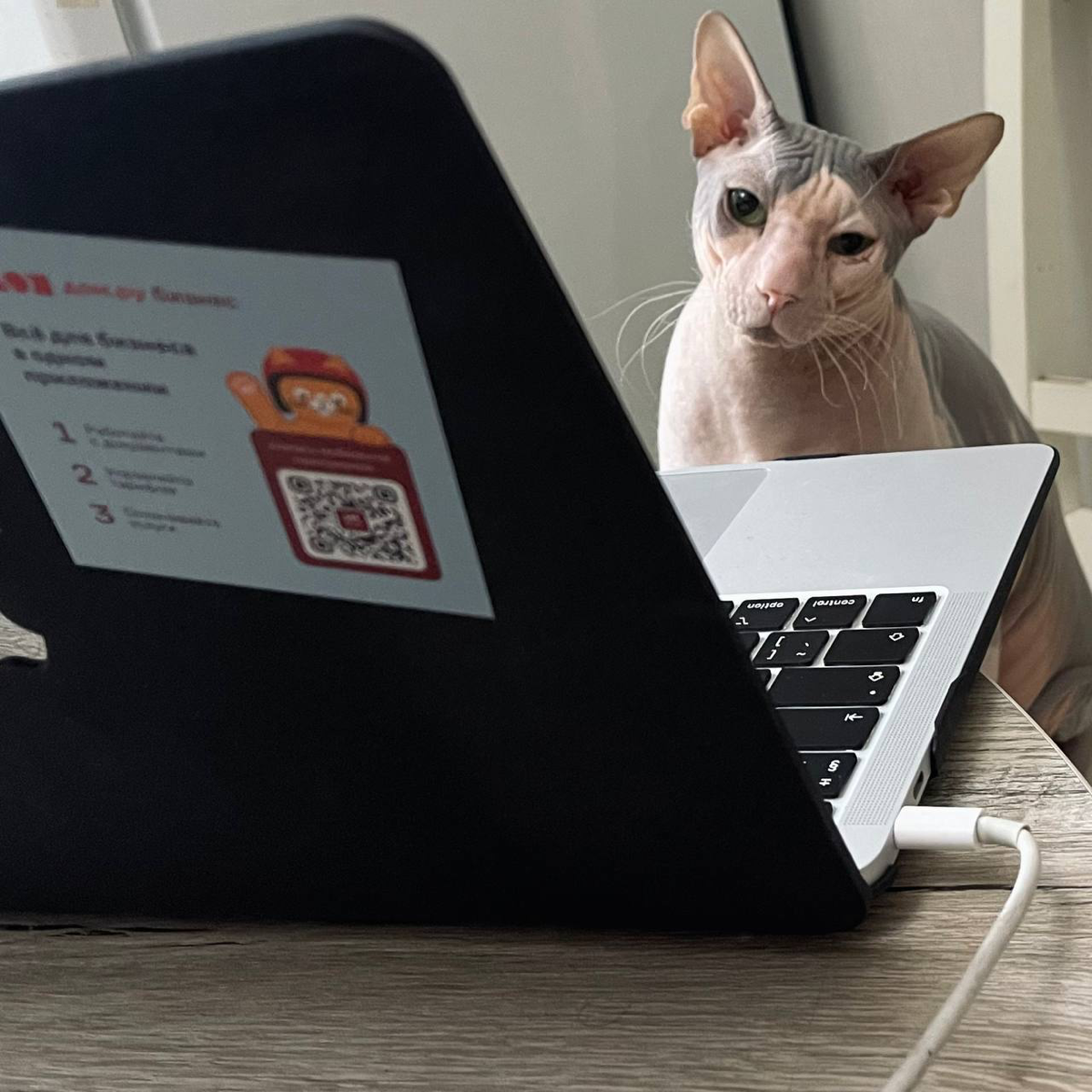 Доброе утро, коллеги
Я сегодня вместо Юли. Начинаем?
#маркетинг #петпроект | Сетка — социальная сеть от hh.ru