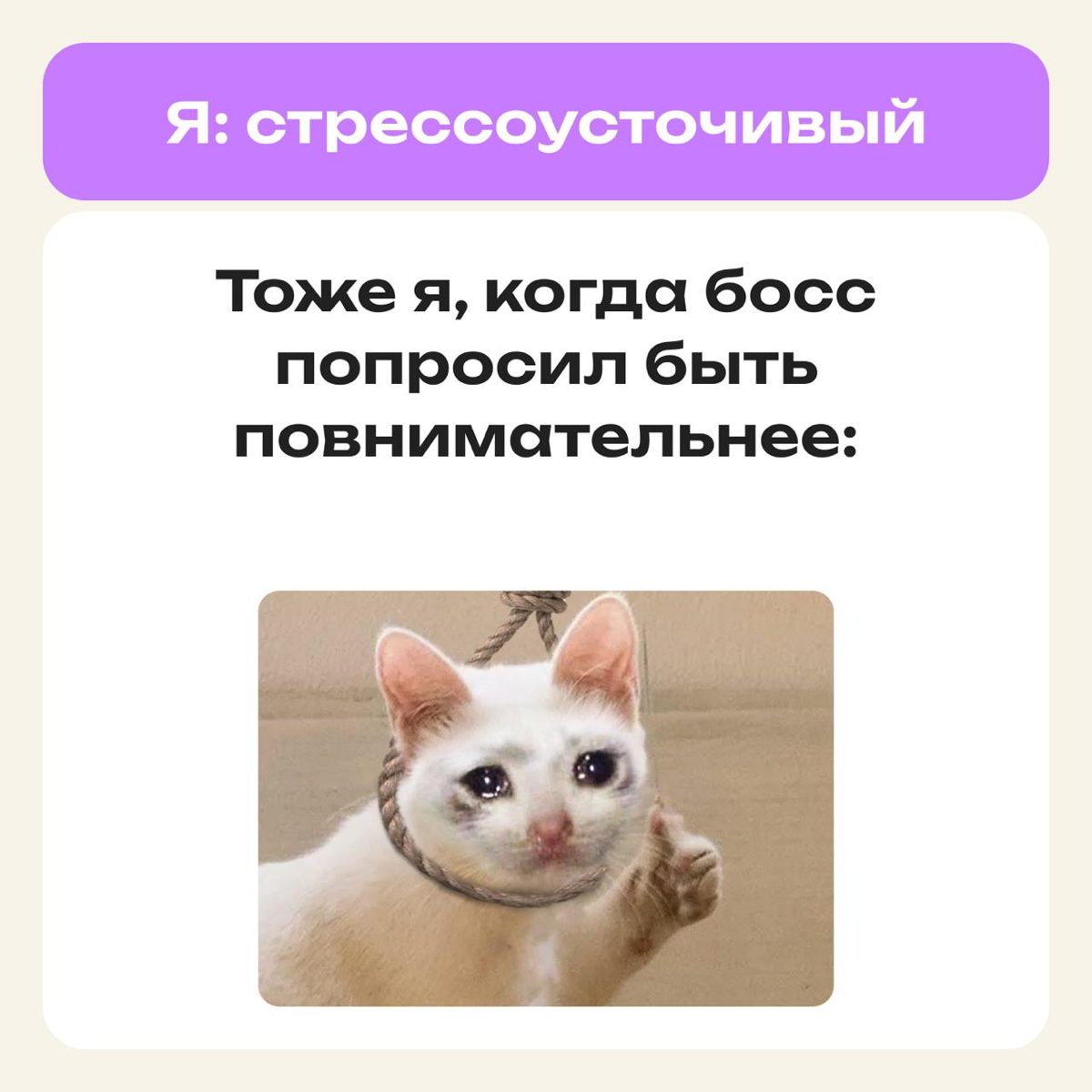 Это не мем, это моя жизнь | Сетка — социальная сеть от hh.ru