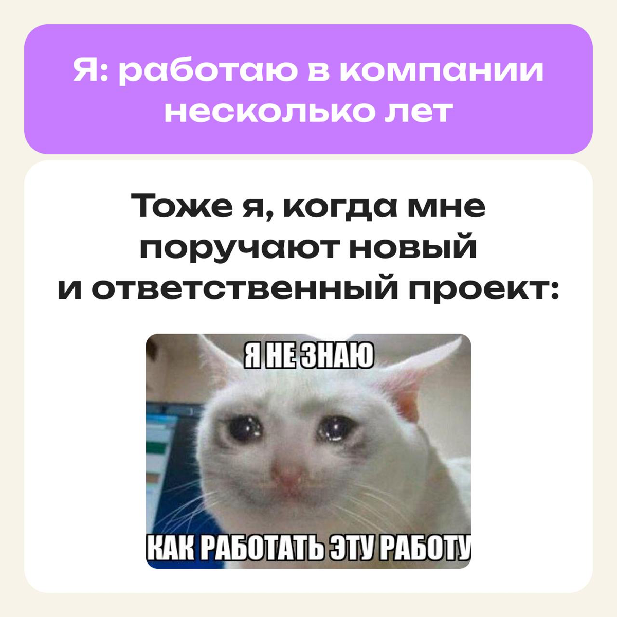 Это не мем, это моя жизнь | Сетка — социальная сеть от hh.ru