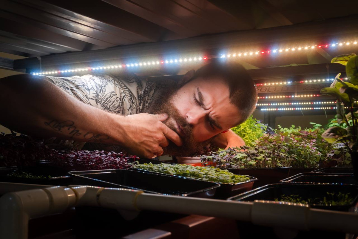 Таблицы с расчетами полной себестоимости и чистой прибылью с разной площади.
Стоимость 1 м2 посевной площади от 8 до 18 тыс рублей. + Отдельно затраты на климат систему | Сетка — социальная сеть от hh.ru