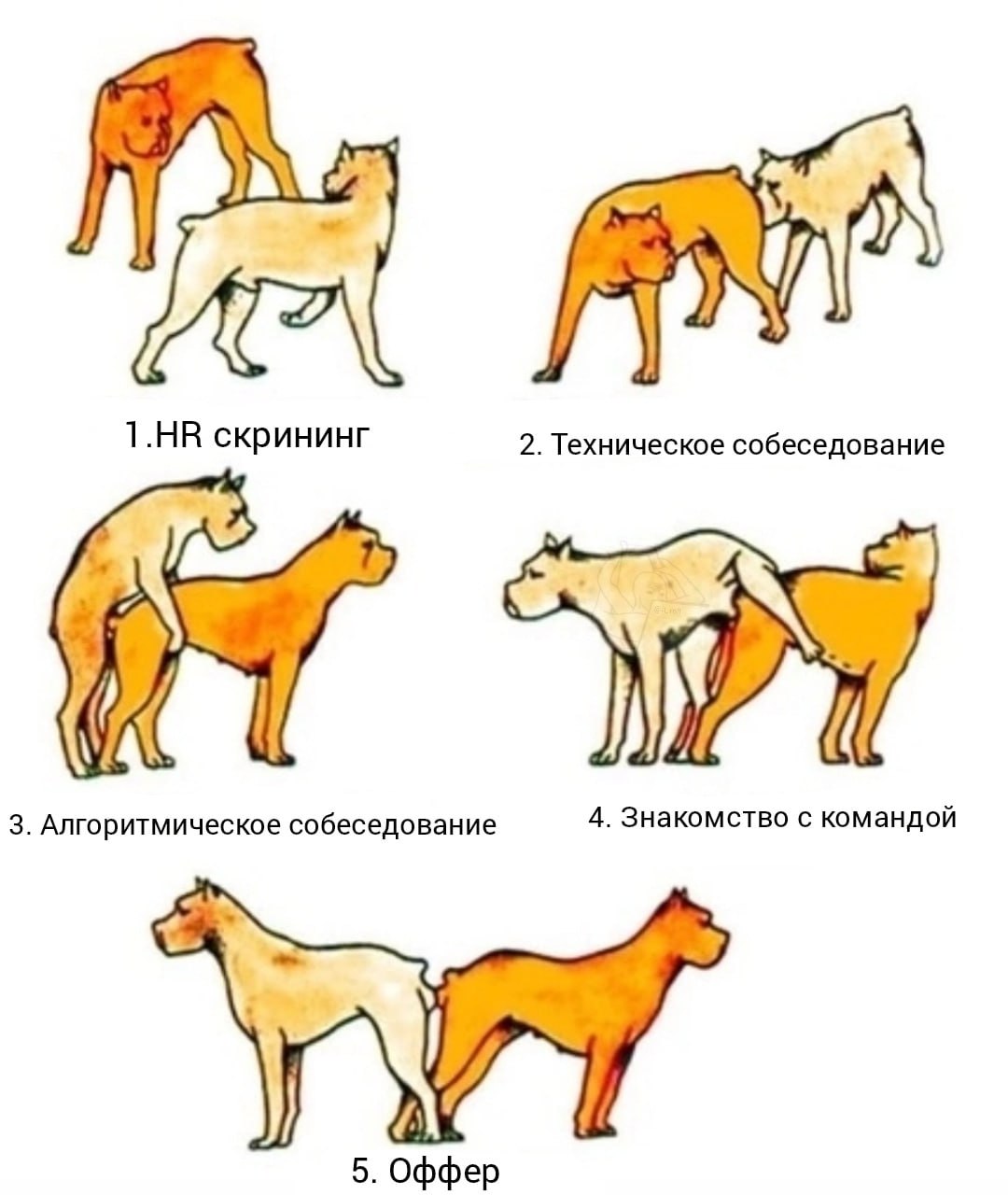 ➡️ отправь в телеге мем коллеге | Сетка — социальная сеть от hh.ru