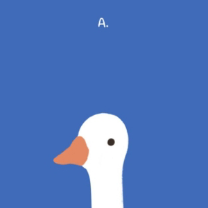 Полина Тимощенко