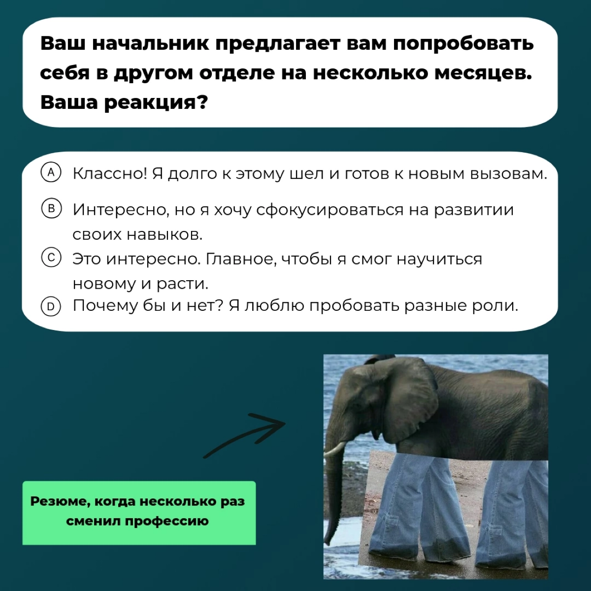 Не обязательно становится руководителем🤓
Если вас не привлекает такая траектория карьерного роста, можно выбрать другую. А какую - подскажет наш тест | Сетка — социальная сеть от hh.ru