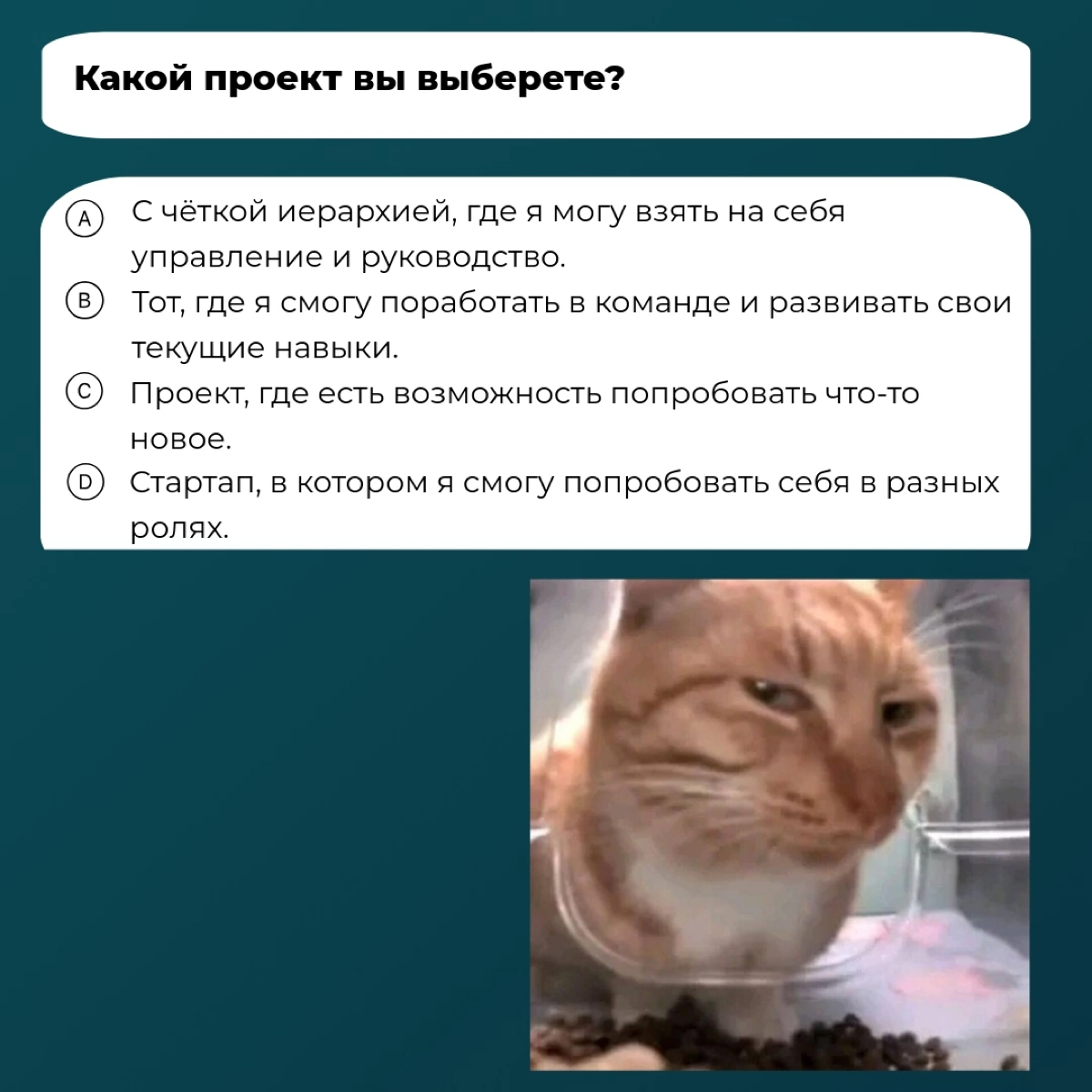 Не обязательно становится руководителем🤓
Если вас не привлекает такая траектория карьерного роста, можно выбрать другую. А какую - подскажет наш тест | Сетка — социальная сеть от hh.ru