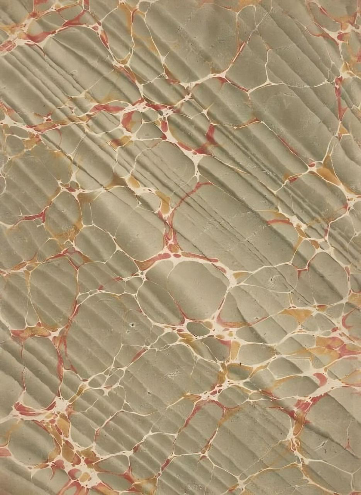 Early Type Specimens — типографический архив книг из лондонской Библиотеки Сент-Брайд  
Коллекция содержит скан-копии более 170 книг 17-19 веков | Сетка — социальная сеть от hh.ru