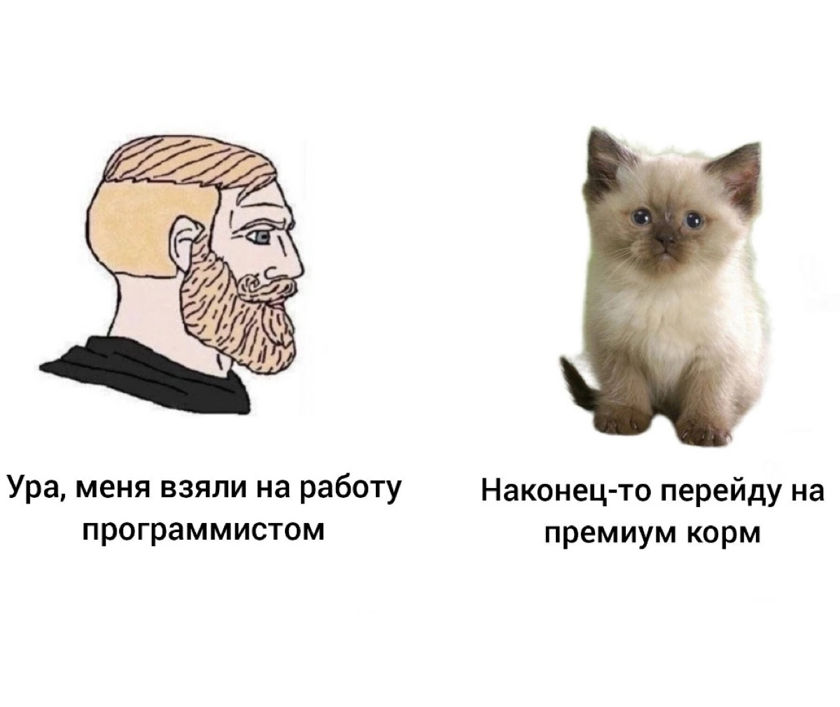 А как вы балуете своих пушистых? | Сетка — социальная сеть от hh.ru