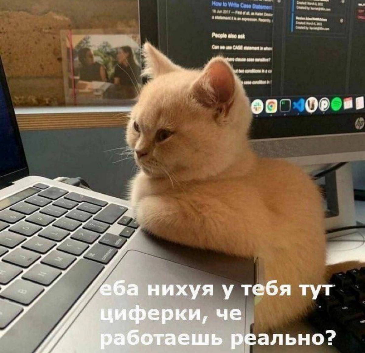 О любви к работе | Сетка — социальная сеть от hh.ru