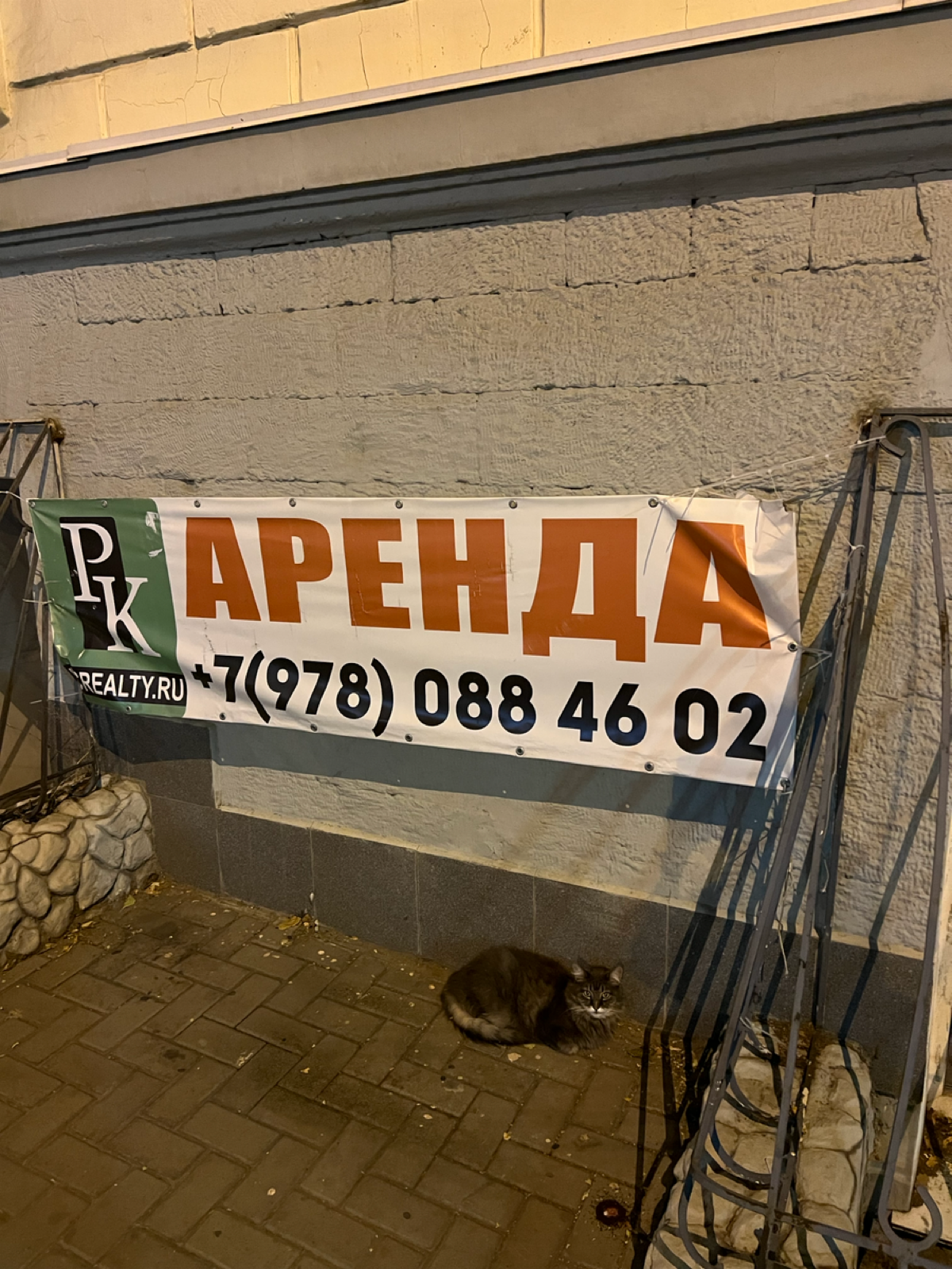 Фриланс-вечерочек или просто пост про день видеомонтажера:

один сложный проект психологически вымотал и я ускакала на плановую стрижку (уже пора);
табличку сфоткала прям возле салона;
кота тоже;
сфот... | Сетка — социальная сеть от hh.ru