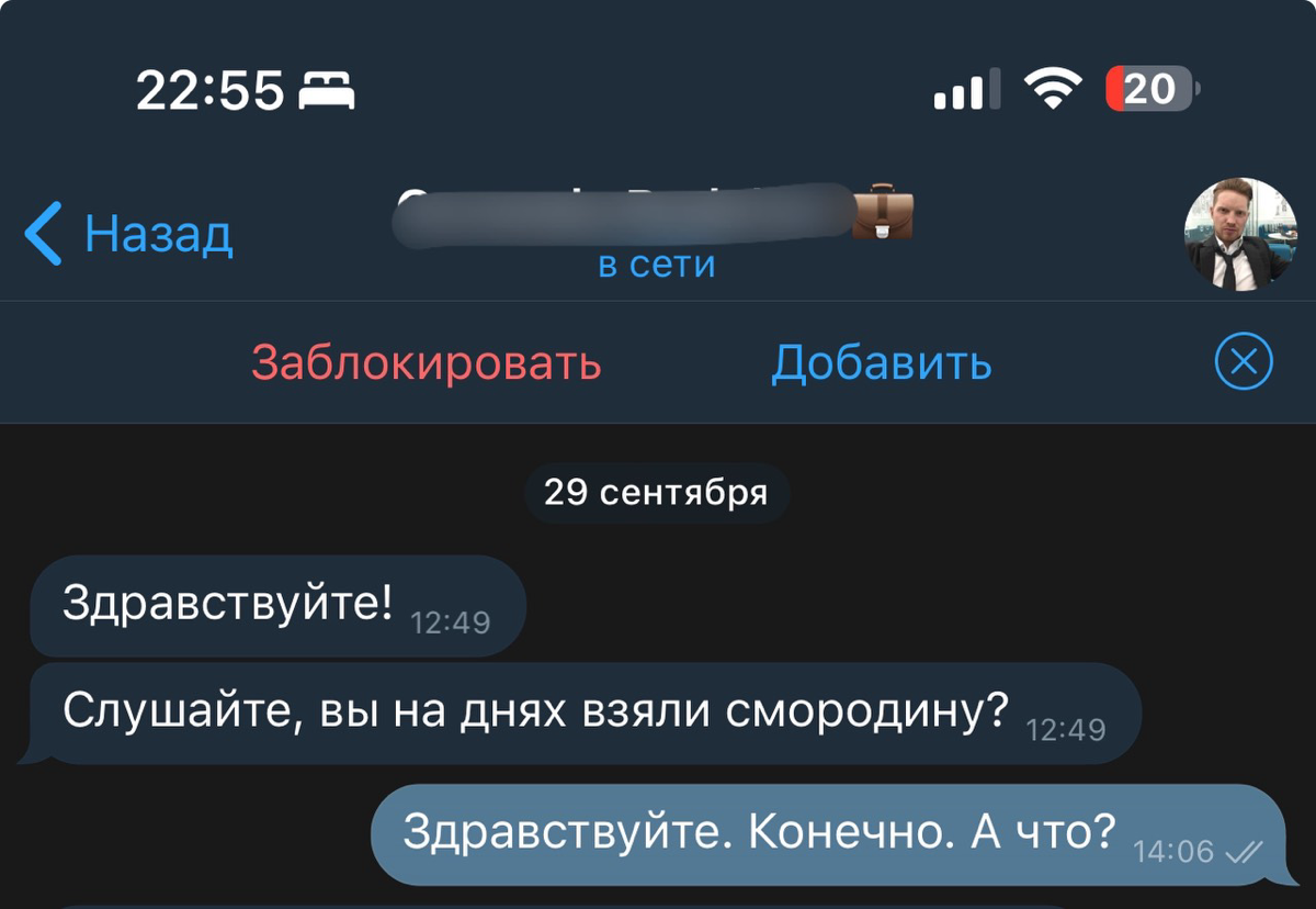 Как папка «Новые» в ТГ могла принести студии сотни тыс.р. | Сетка — социальная сеть от hh.ru