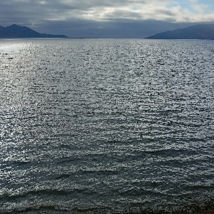 Владимир Попов | Сетка — социальная сеть от hh.ru