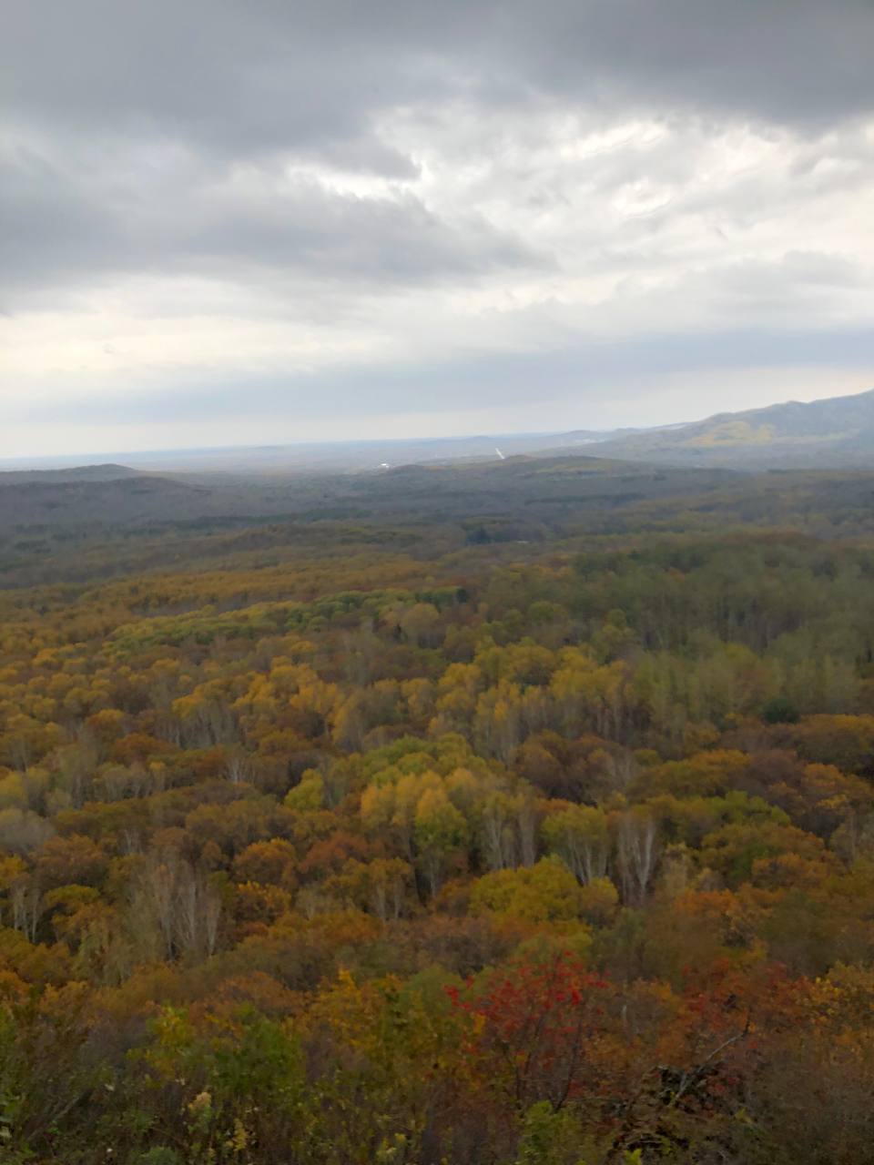 Про день Третий: Завершение проекта
Вчера состоялась поездка в Хехцирский заказник, где был трекинг до горы, прогулка по лесу Дружбы, подъём на Змеиную сопку | Сетка — социальная сеть от hh.ru