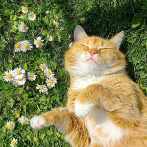 Валерия Tbank