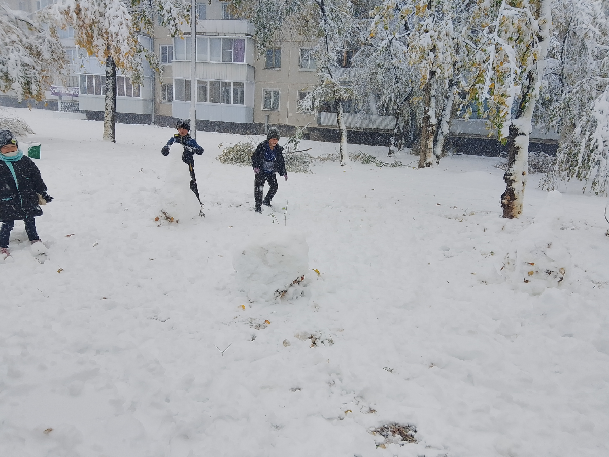 У нас осень, а пришла зима ❄ | Сетка — социальная сеть от hh.ru