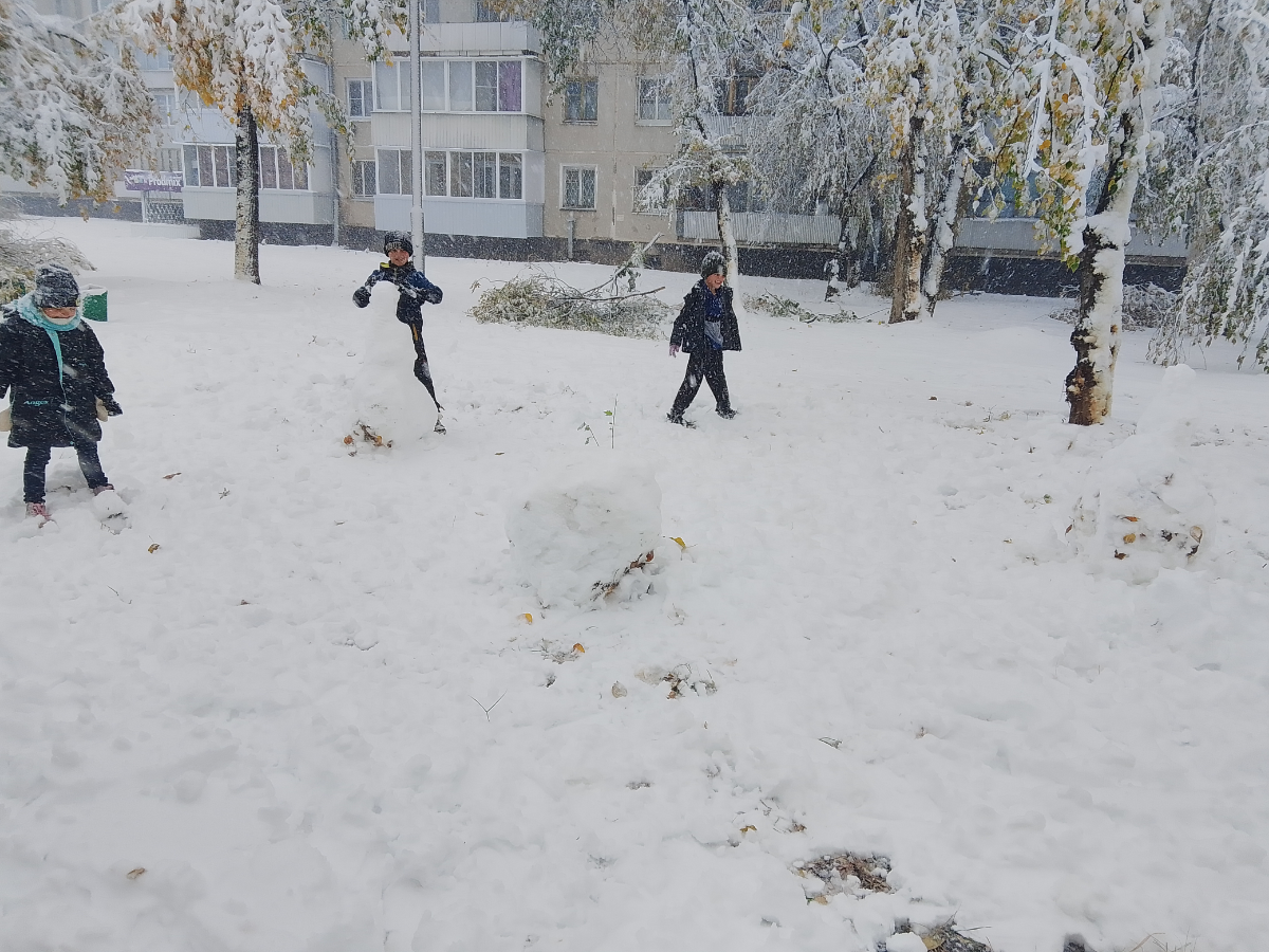 У нас осень, а пришла зима ❄ | Сетка — социальная сеть от hh.ru