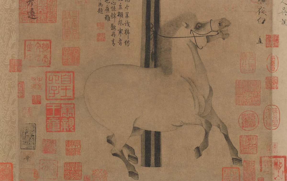 Почему важна история одомашнивания лошадей | Сетка — социальная сеть от hh.ru