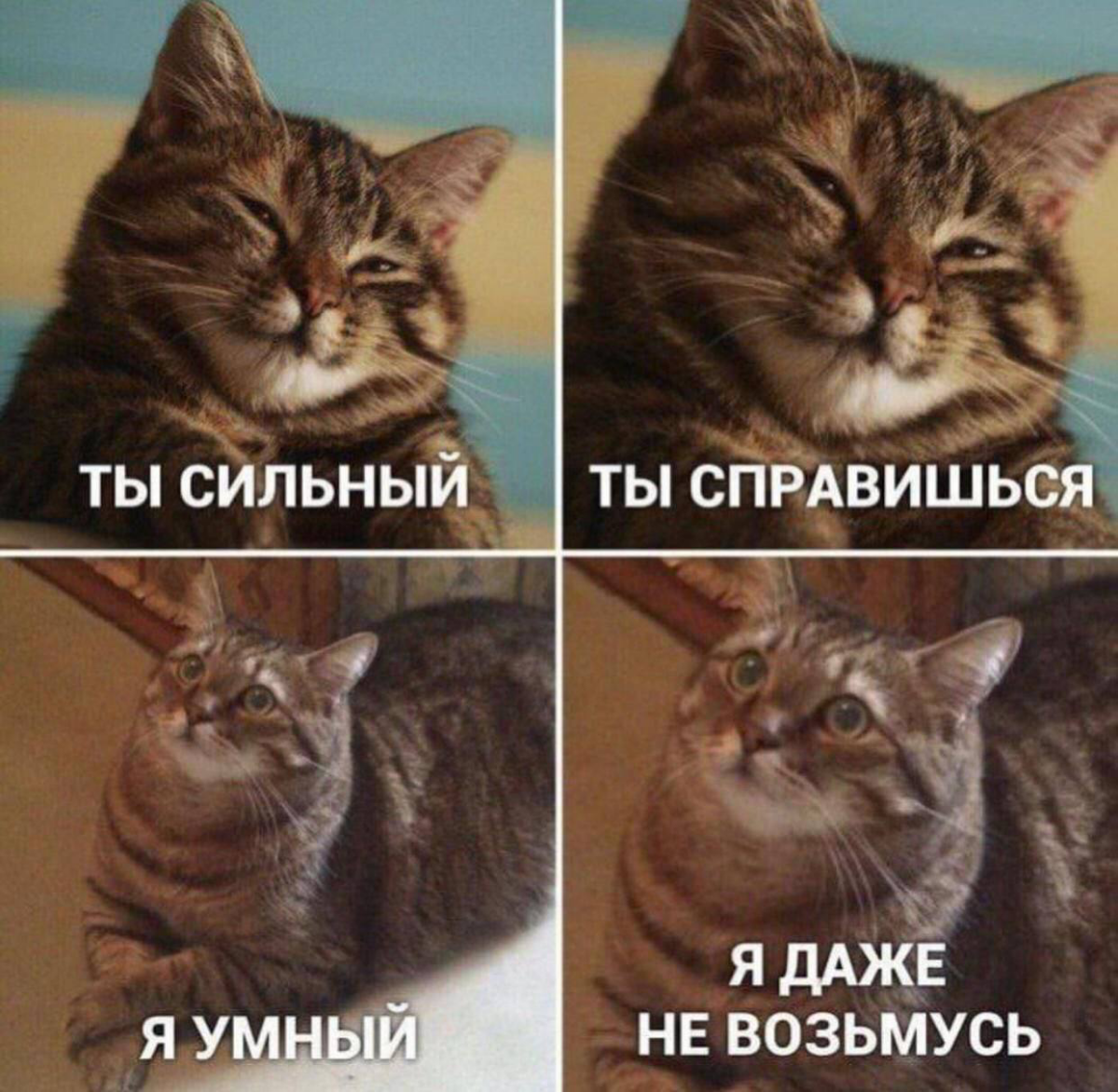 Все мы, так или иначе сталкиваемся с задачами, которые если и имеют решения, то безумные, бессмысленно расходующие ресурсы как компании, так и ваши | Сетка — социальная сеть от hh.ru
