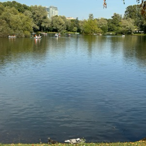 Али Saafi | Сетка — социальная сеть от hh.ru