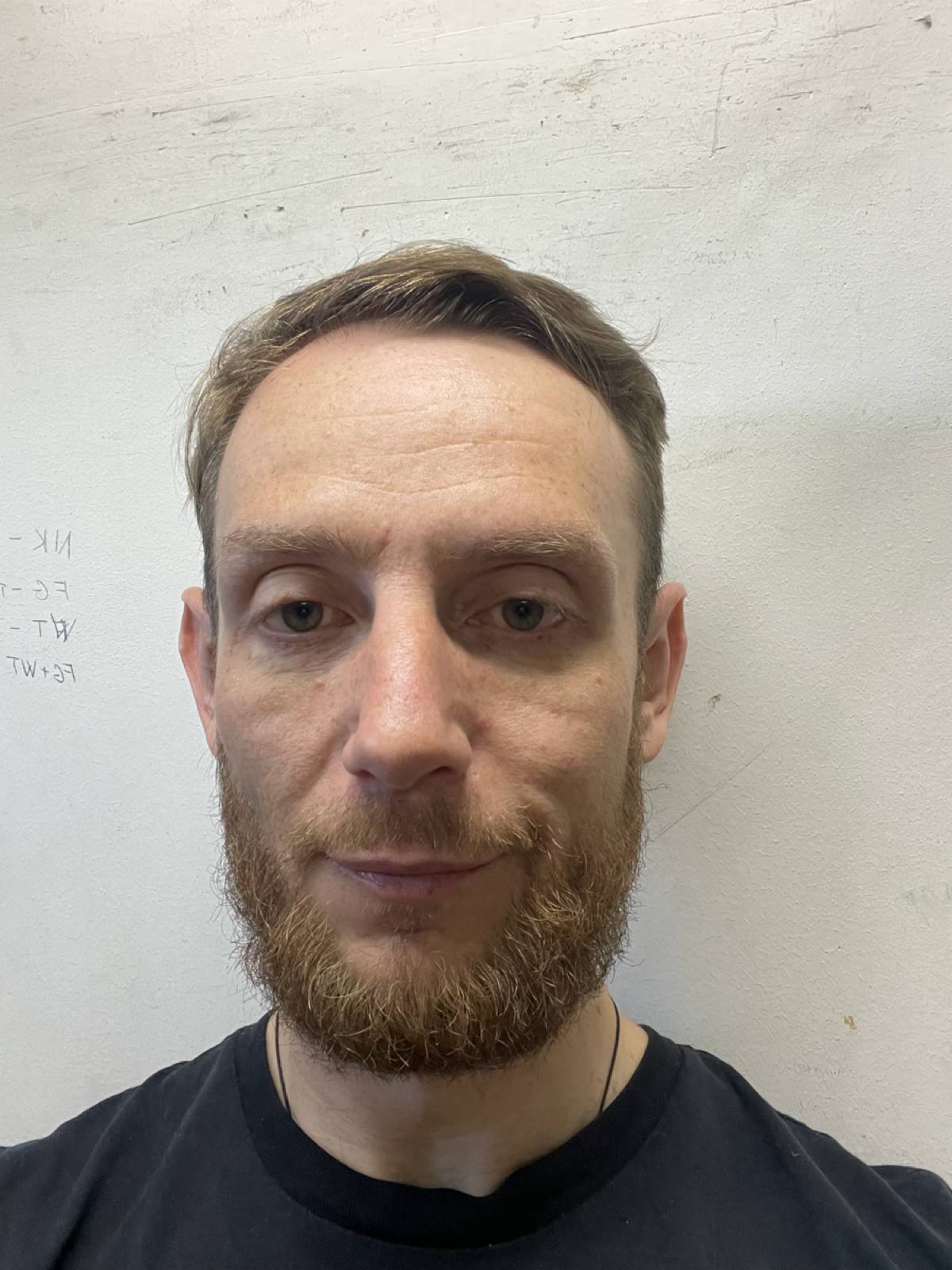 Михаил Шевнин | Сетка — социальная сеть от hh.ru