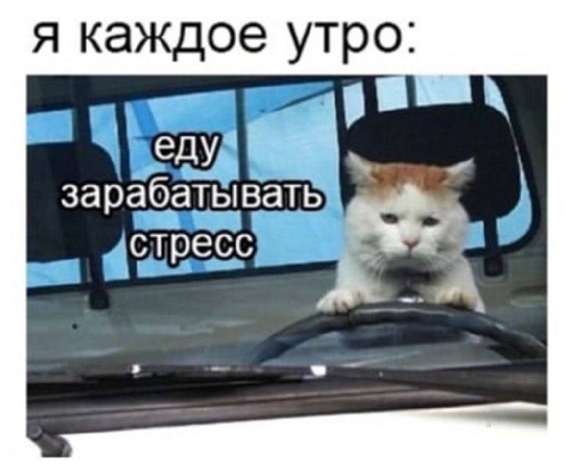 Доброе утро! Осталось 4 прекрасных рабочих дня! Замечательного настроения, коллеги!) | Сетка — социальная сеть от hh.ru