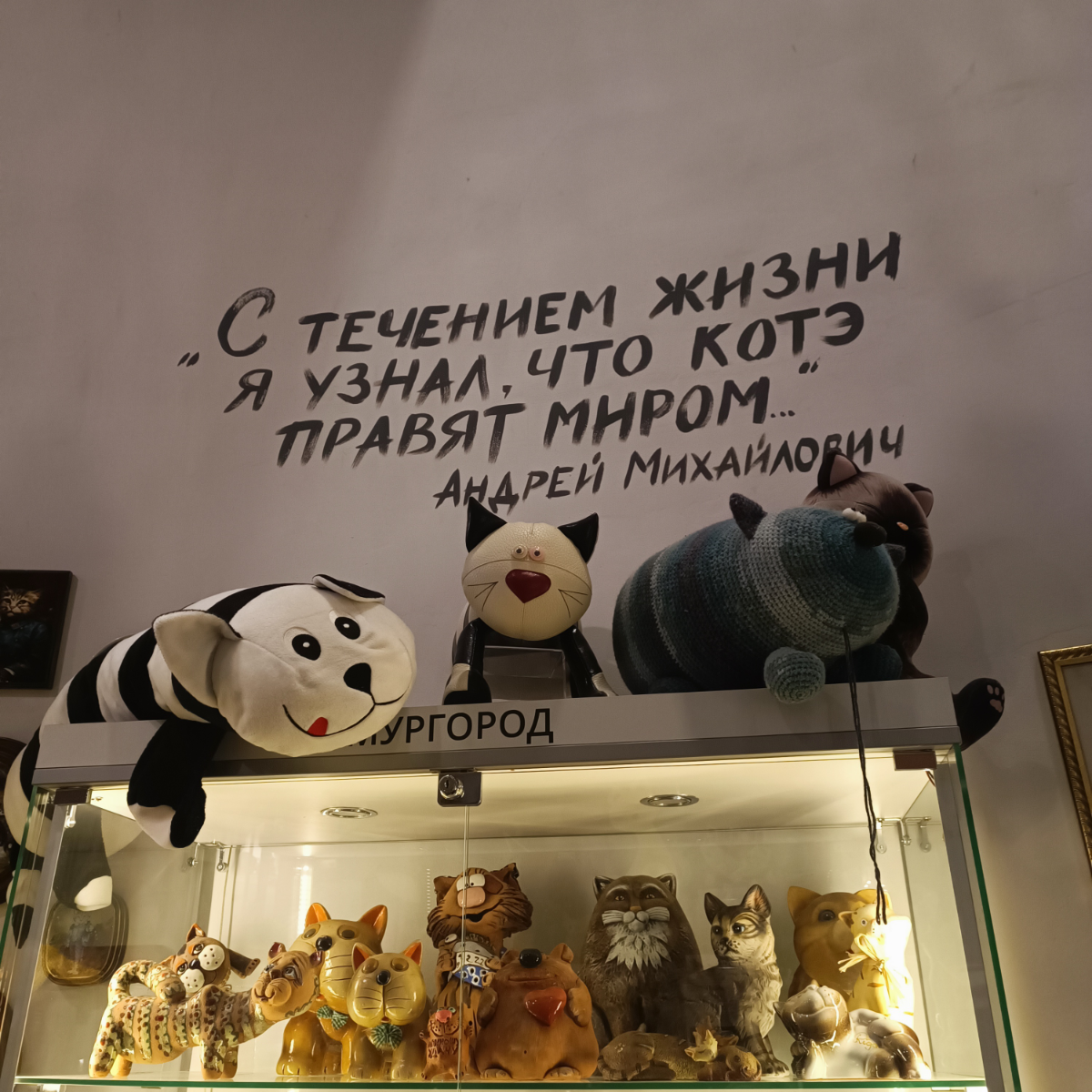День 1. (вчера)
Прогулка под шум моря в окружении котиков- рай на Земле! | Сетка — социальная сеть от hh.ru