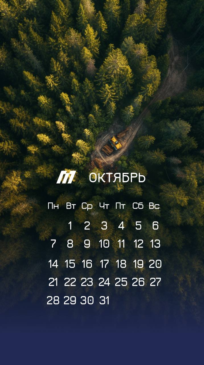 Новая подборка заставок для телефона на октябрь 🍃
📌Скачать в хорошем качестве | Сетка — социальная сеть от hh.ru
