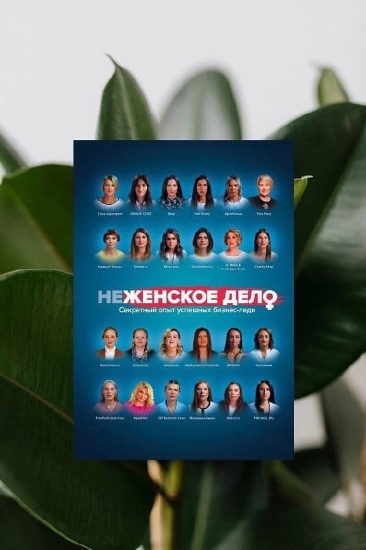 7 книг о том, как начать свой бизнес (и стоит ли)
Сохраняйте подборку себе 📌
#Бизнес | Сетка — социальная сеть от hh.ru