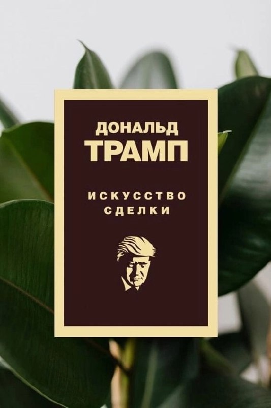 7 книг о том, как начать свой бизнес (и стоит ли)
Сохраняйте подборку себе 📌
#Бизнес | Сетка — социальная сеть от hh.ru