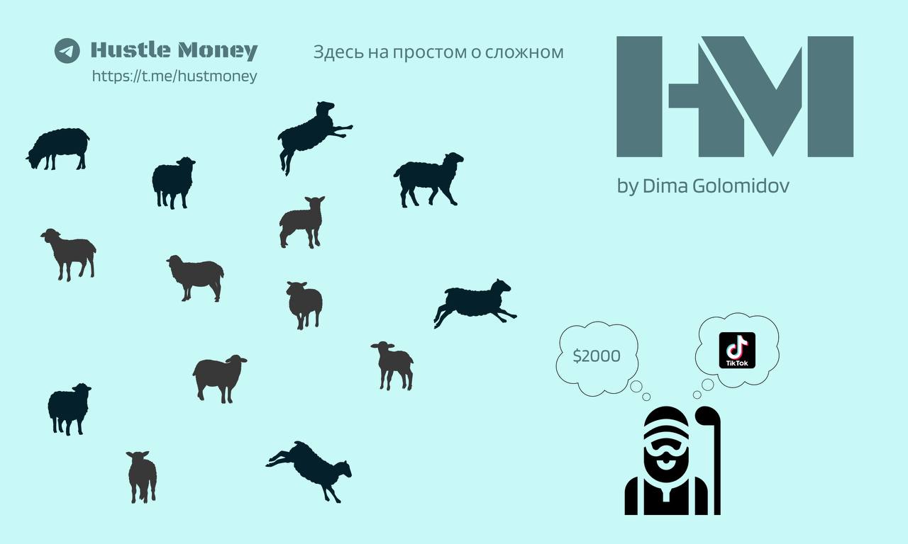 Барашек пасти - не нефоров на Цветном 🤭🤭🤭Разбавим повестку 🐏 Турецкие чабаны требуют от владельцев стада помимо всех благ в виде еды, проживания, спецодежды и зарплаты в $2000,  оплату TikTok
Скучнее ... | Сетка — социальная сеть от hh.ru