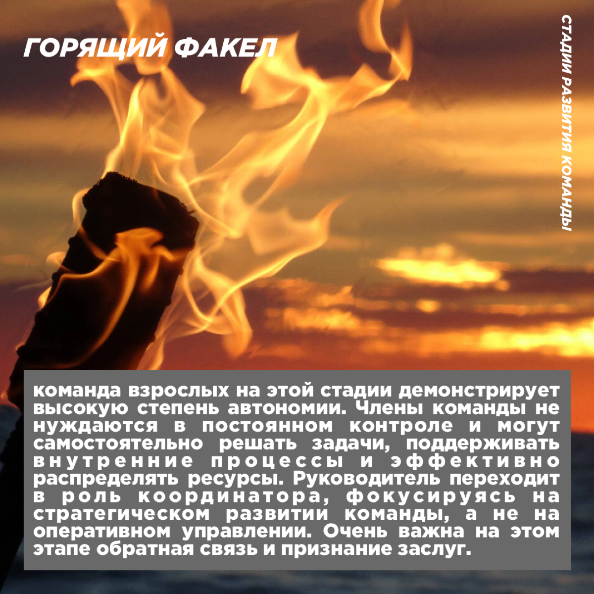 Я выходец вообще из детских лагерей, посвятил этому более 10 лет.
В методике Лутошкина есть стадии развития детского коллектива. Постарался его переложить в плоскость взрослых. Криво оформил визуально | Сетка — социальная сеть от hh.ru
