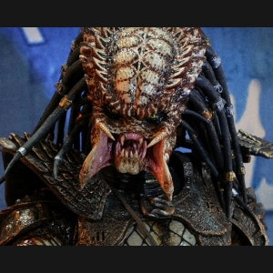 Владимир Макаркин | Сетка — социальная сеть от hh.ru