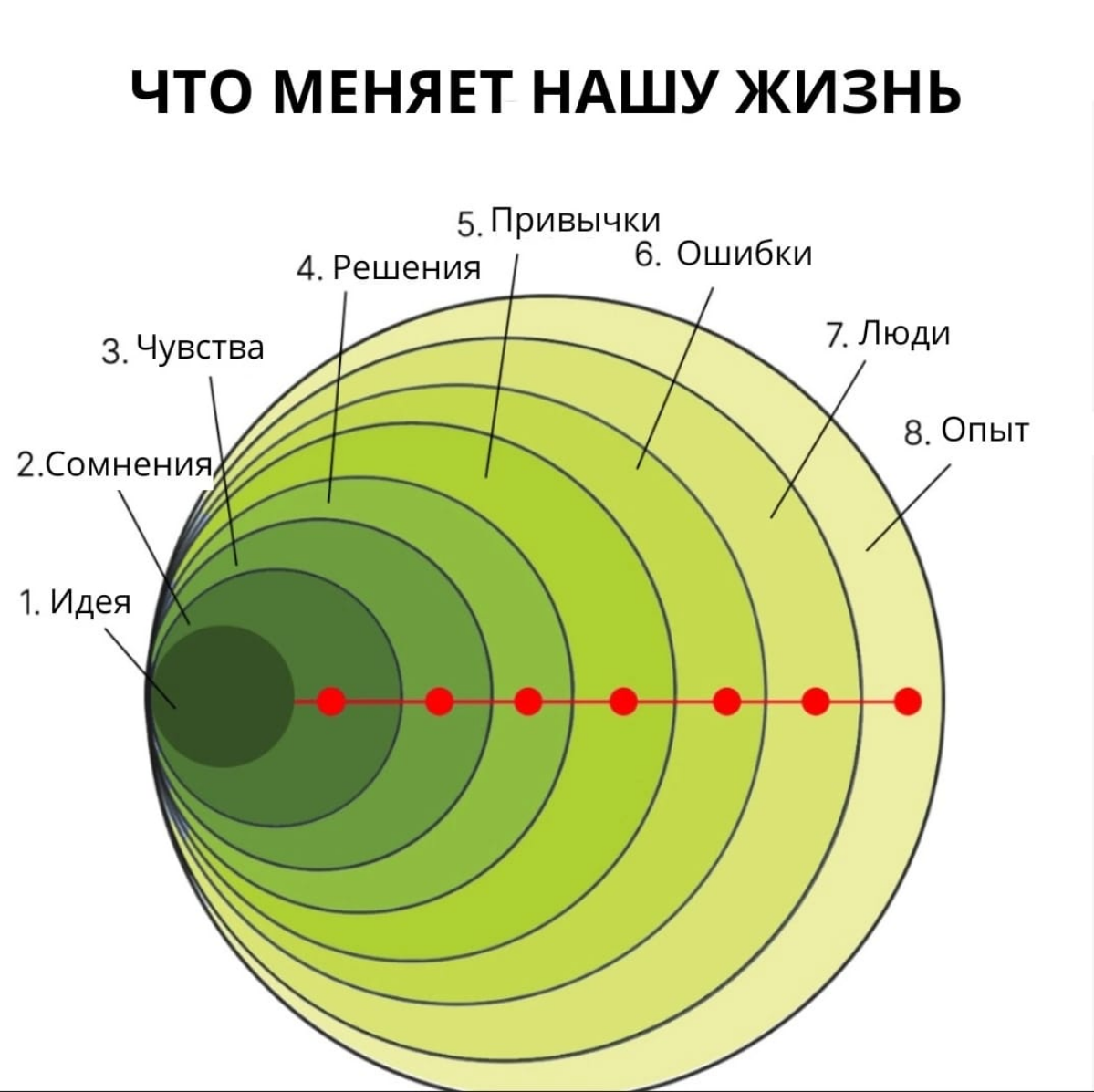 ЦИНК  
  
Пищевые источники, богатые цинком:

устрицы
говядина и другие мясные белки
тыквенные семечки
овощи (шпинат, свекла, морковка)
яйца
авокадо
орехи  
  
Функции в организме:
участие в синтезе б... | Сетка — социальная сеть от hh.ru