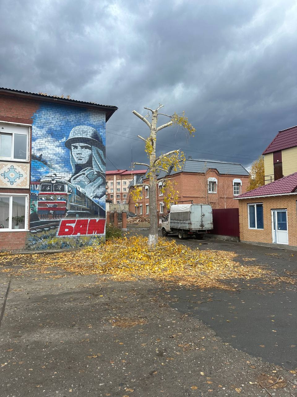 ❓ Ну зачем? Нормальное, живое дерево.. | Сетка — социальная сеть от hh.ru