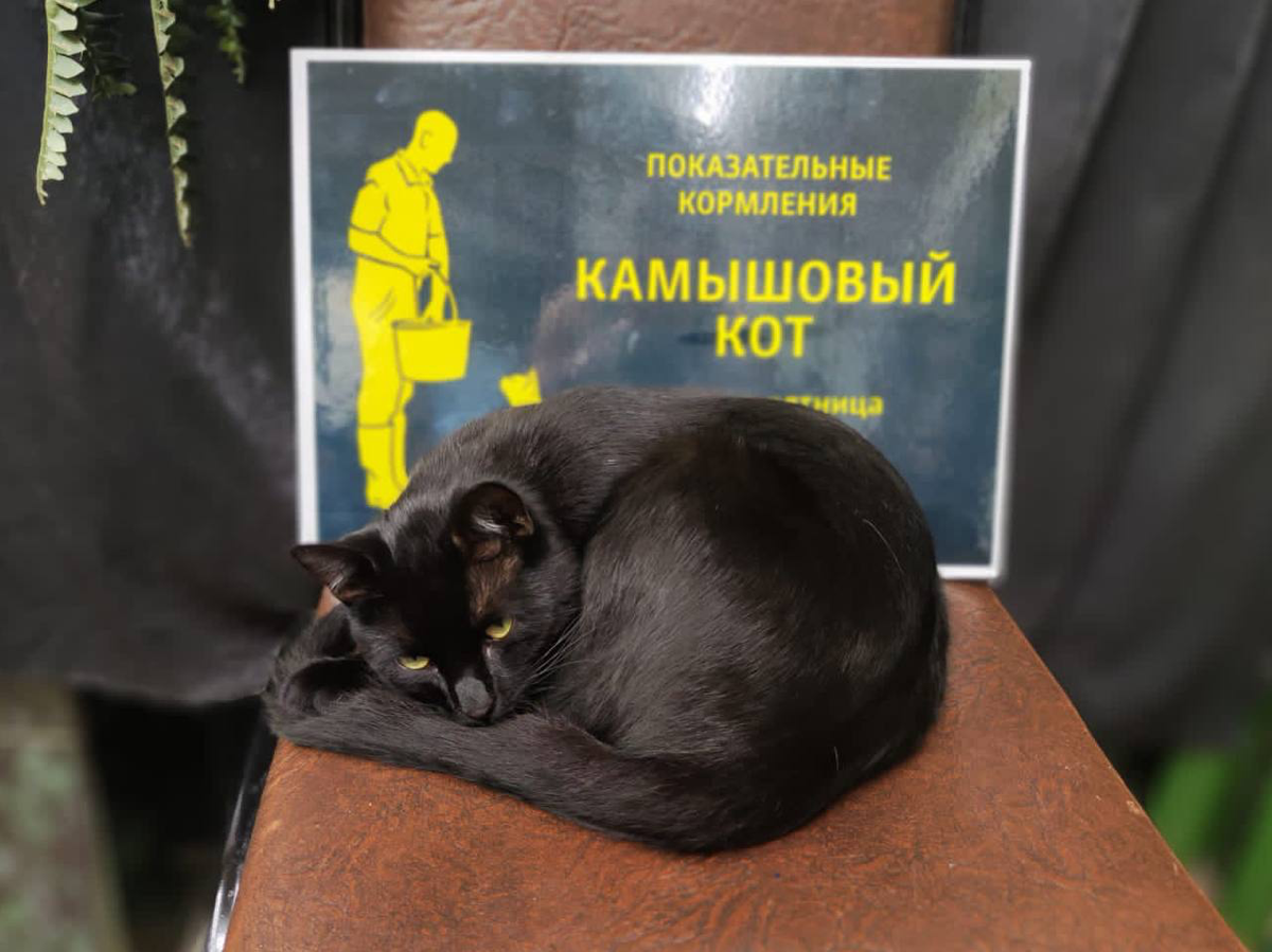 Вопрос типа с подвохом: это кто? | Сетка — социальная сеть от hh.ru