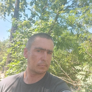 Дмитрий Кривошеев