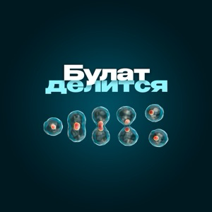 Булат делится 👨🏼‍💻