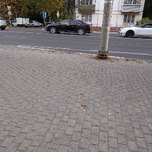 Алексей Бровченко