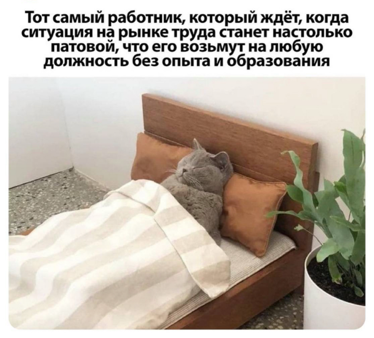 Как держать себя на плаву актуальности профессии? | Сетка — социальная сеть от hh.ru