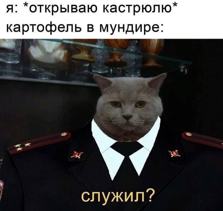 Ну смешно же | Сетка — социальная сеть от hh.ru