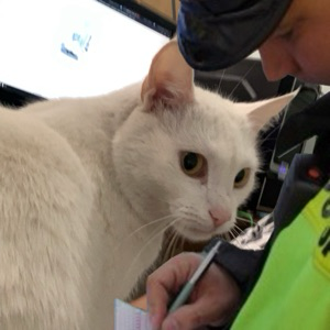 Юрий Кузнецов | Сетка — социальная сеть от hh.ru