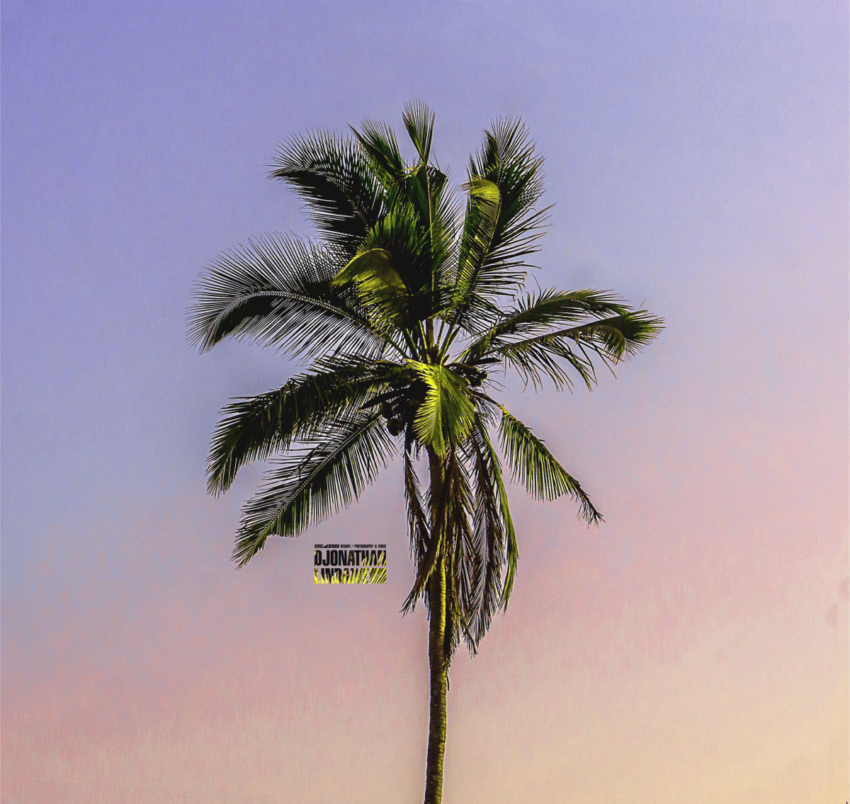 Так же занимаюсь художественной фотографией, помимо графического дизайна. Одинокая пальма, фото сделанное в 2016 году. Страна Индия.
#фотография #фотоарт #djonathan | Сетка — социальная сеть от hh.ru