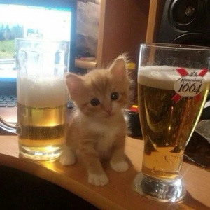 Илья Каратаев