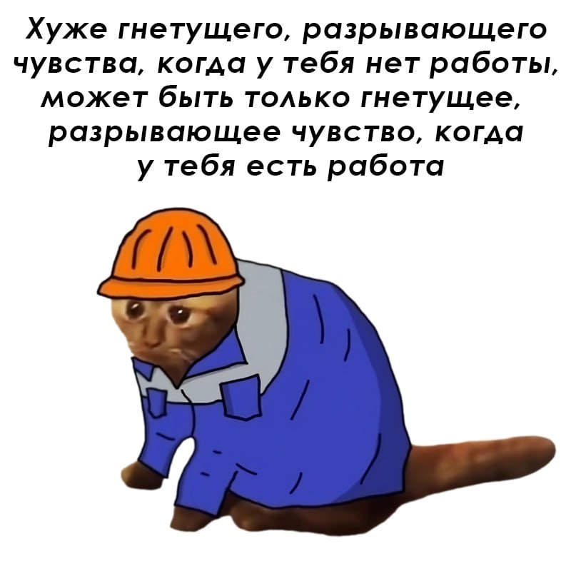➡️ отправь коллеге мем в телеге | Сетка — социальная сеть от hh.ru