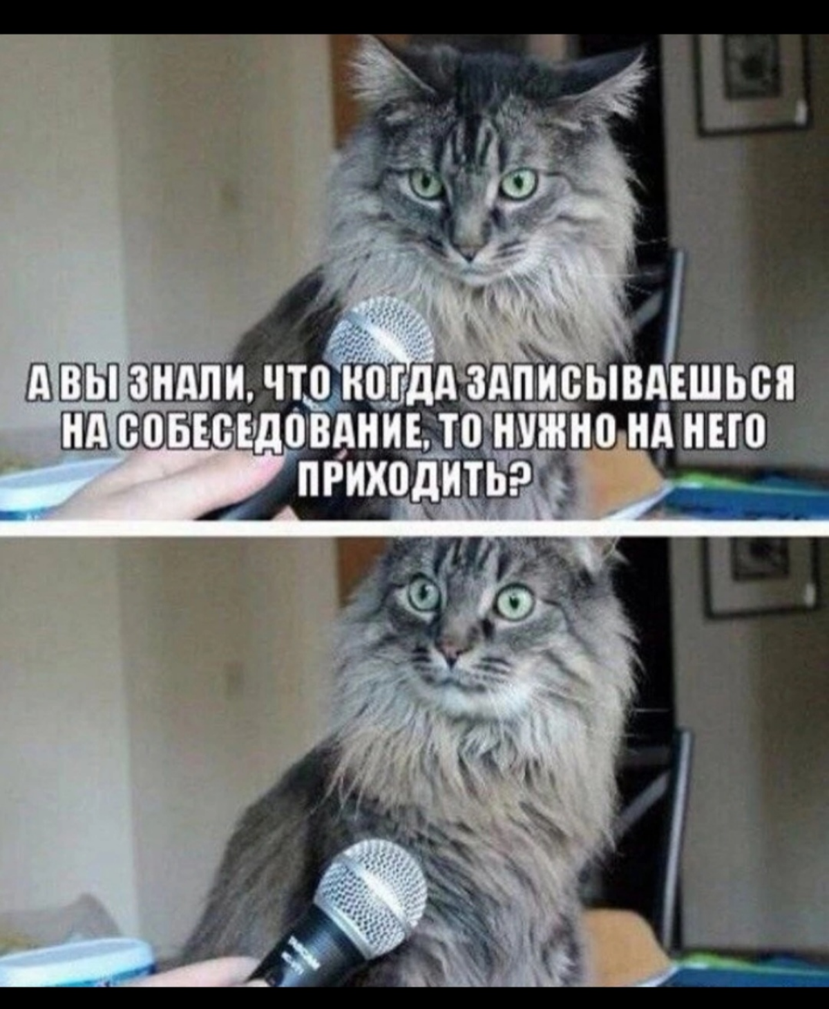 #Юмор | Сетка — социальная сеть от hh.ru